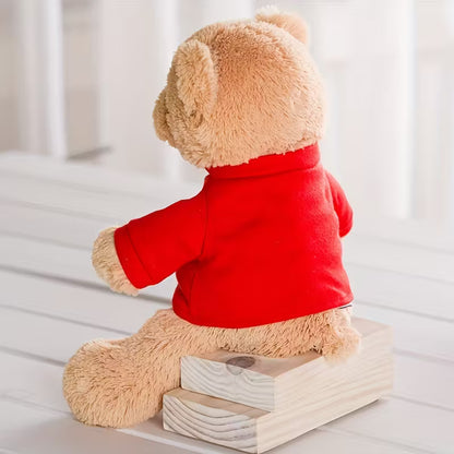 I Love You Teddy Bear