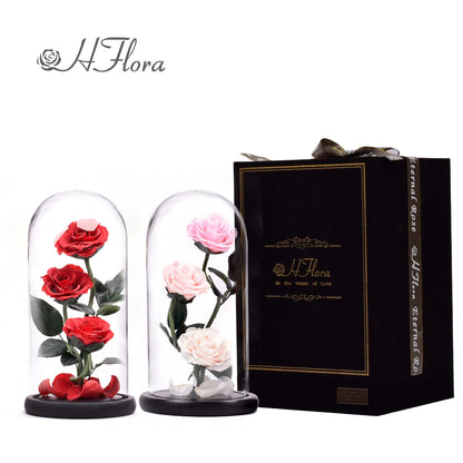 Beautiful multicolored roses encased in glass