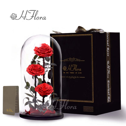 Beautiful multicolored roses encased in glass