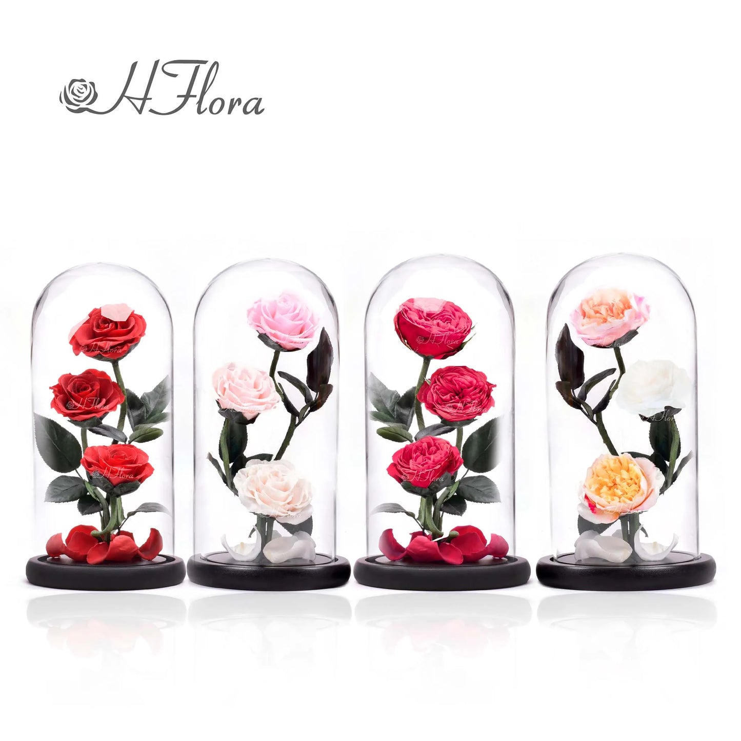 Beautiful multicolored roses encased in glass