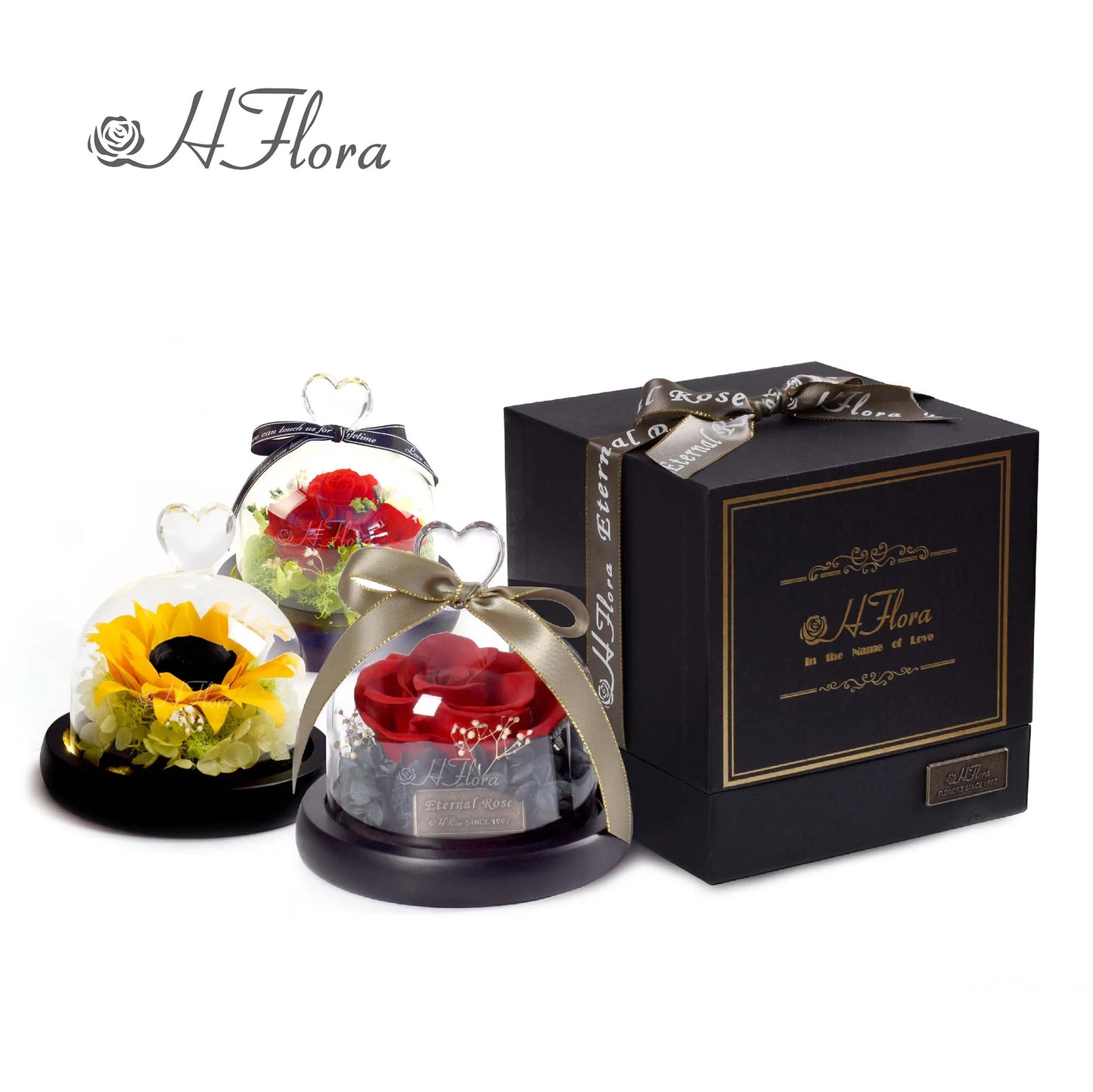 Beautiful multicolored roses encased in glass